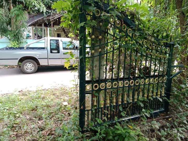 ขายที่ดิน ที่เปล่า แม่ทะ ลำปาง 1-2-19