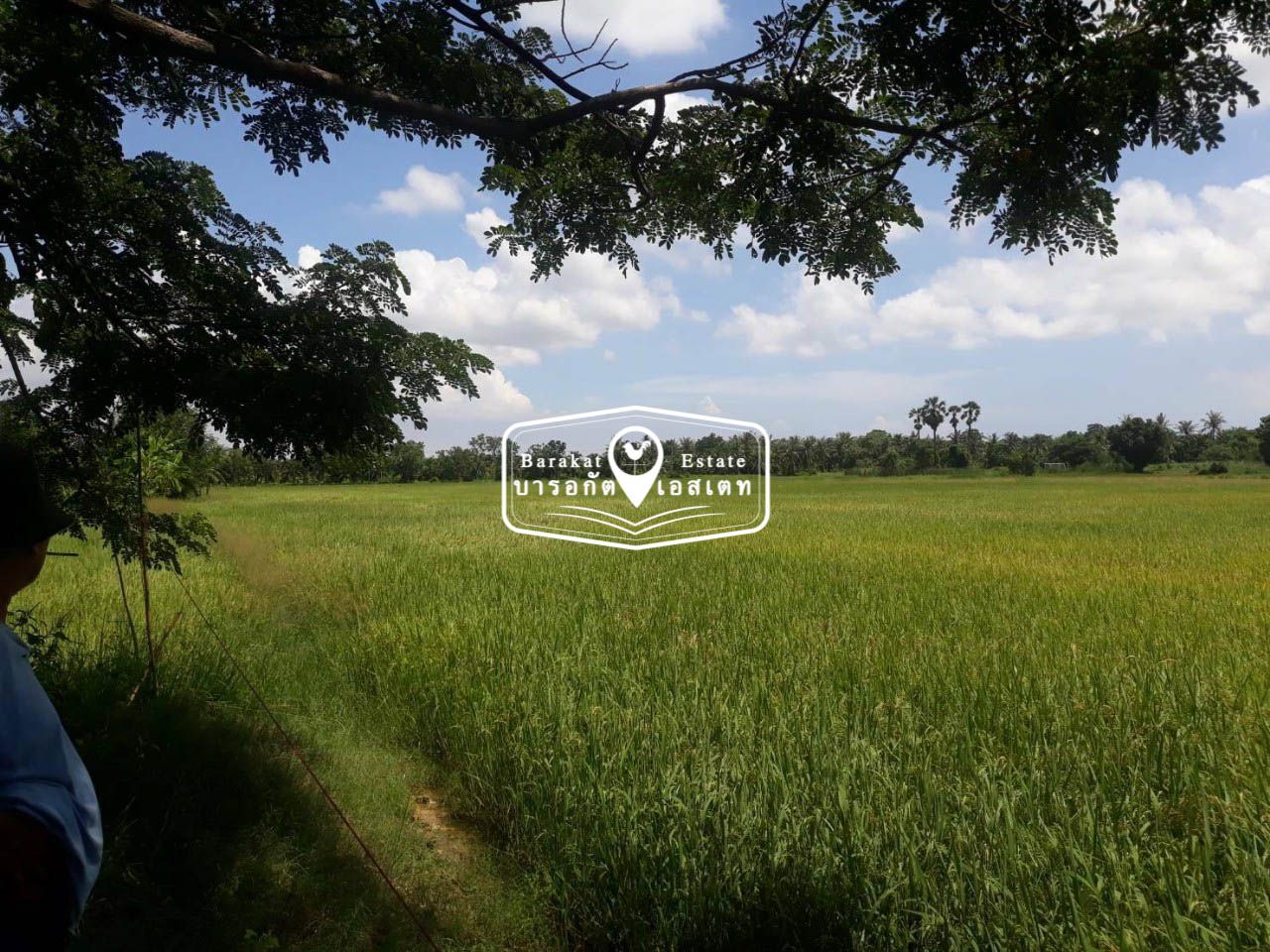แปลงสวย ราคาถูก จังหวัดเพชรบุรี