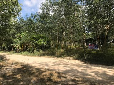 ขายที่ดินระยอง บ้านค่าย