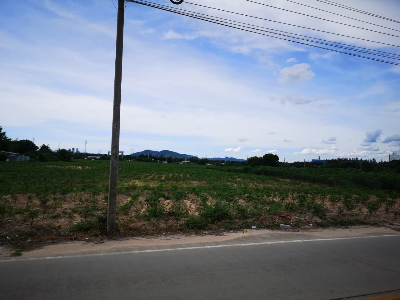 ขายที่ดินระยอง ถนนประชารัตน์ พื้นที่สีม่วง มาบตาพุด เมืองระยอง ระยอง 9-1-52