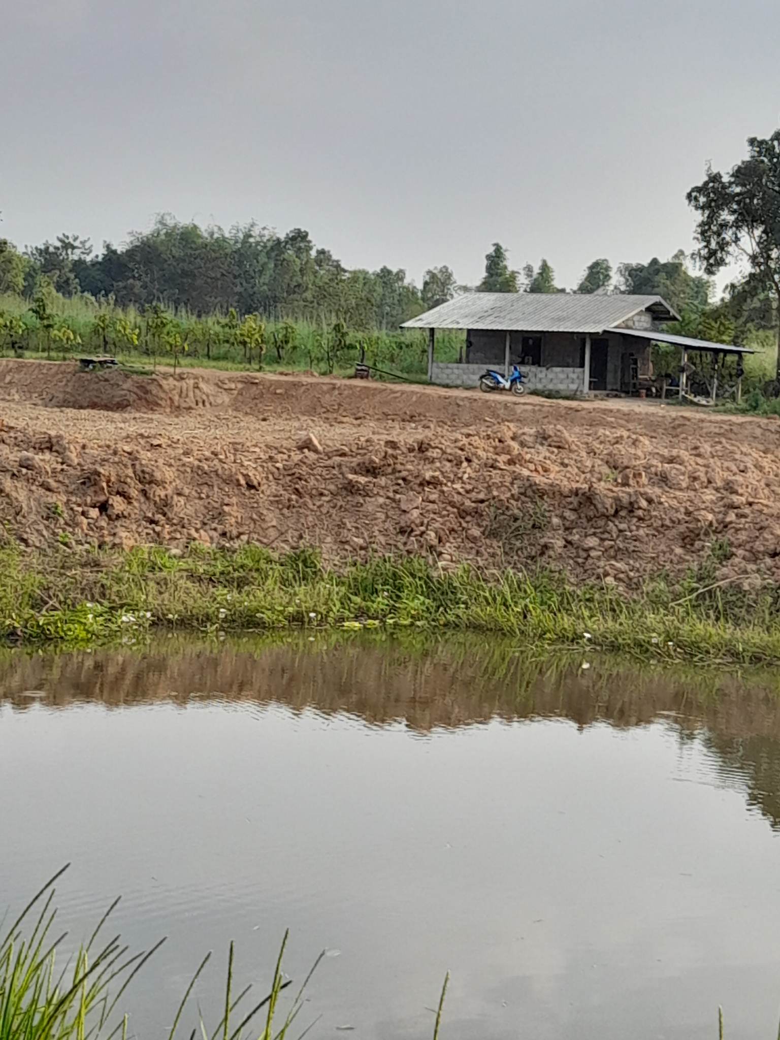 ขายที่ดินหนองคาย ท่าบ่อ 9-3-43