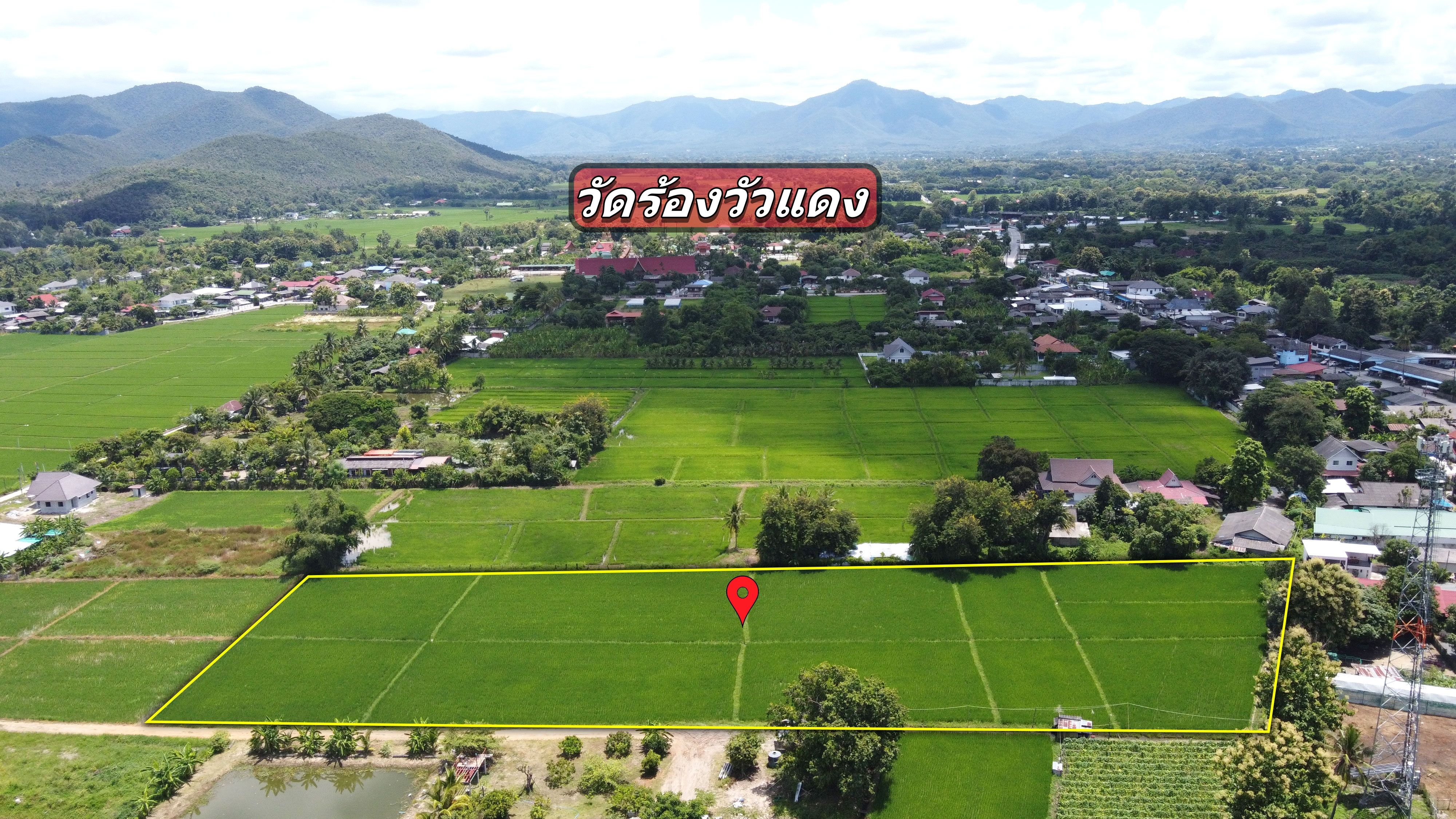ที่นา 6-3-88 ไร่ (ใกล้ถนนตัดใหม่ 150เมตร ที่ดินมีอนาคต วิวดอย)