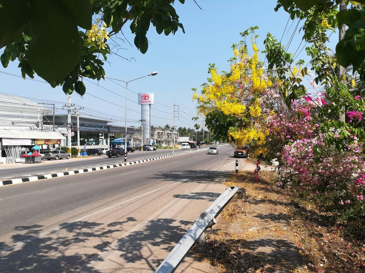 ที่ดินบางเปล่าสมุทรสงคราม 7-3-60