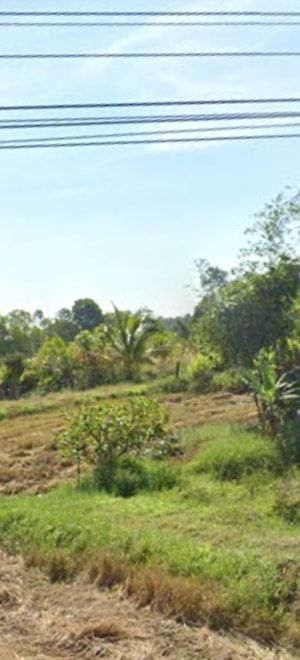 ขายที่ดิน 0-2-33 ยโสธร