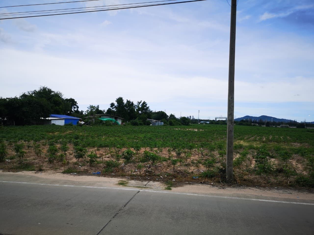 ขายที่ดินระยอง ถนนประชารัตน์ พื้นที่สีม่วง มาบตาพุด เมืองระยอง ระยอง 9-1-52