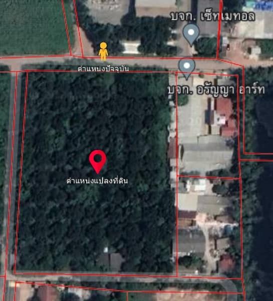 ขายที่ดินนิคม 304 ปราจีนบุรี
