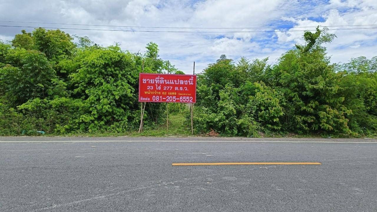 ขายที่ดินชัยนาท ติดถนนลาดยาง มีถนนติดแปลงถึง 2 ฝั่ง 
