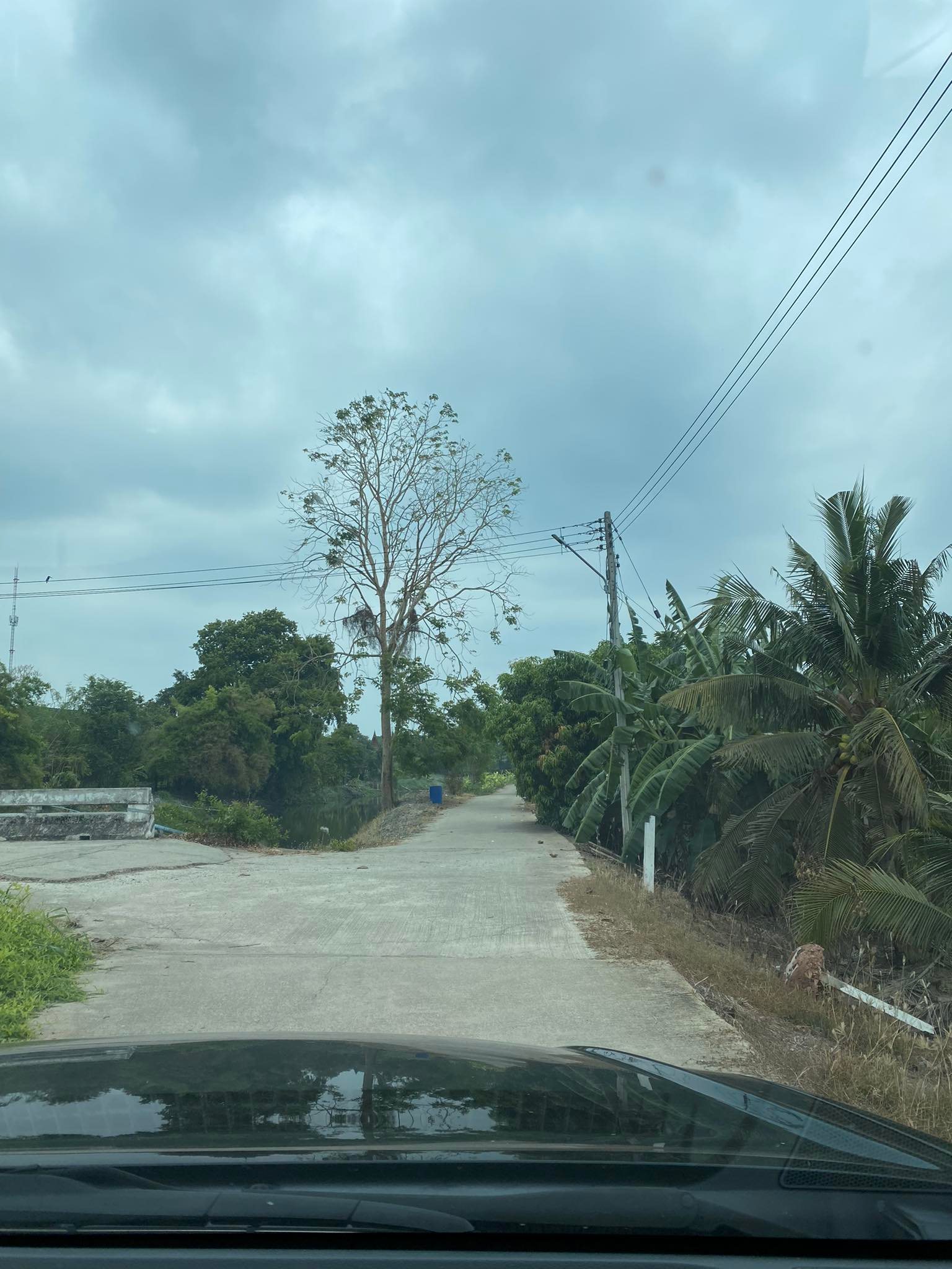 ที่ดินสวนมะพร้าว เมืองราชบุรี 11-0-91