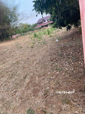 ขายที่ดินนครราชสีมา แปลงสวย หมูสี ท่าช้าง โฉนด