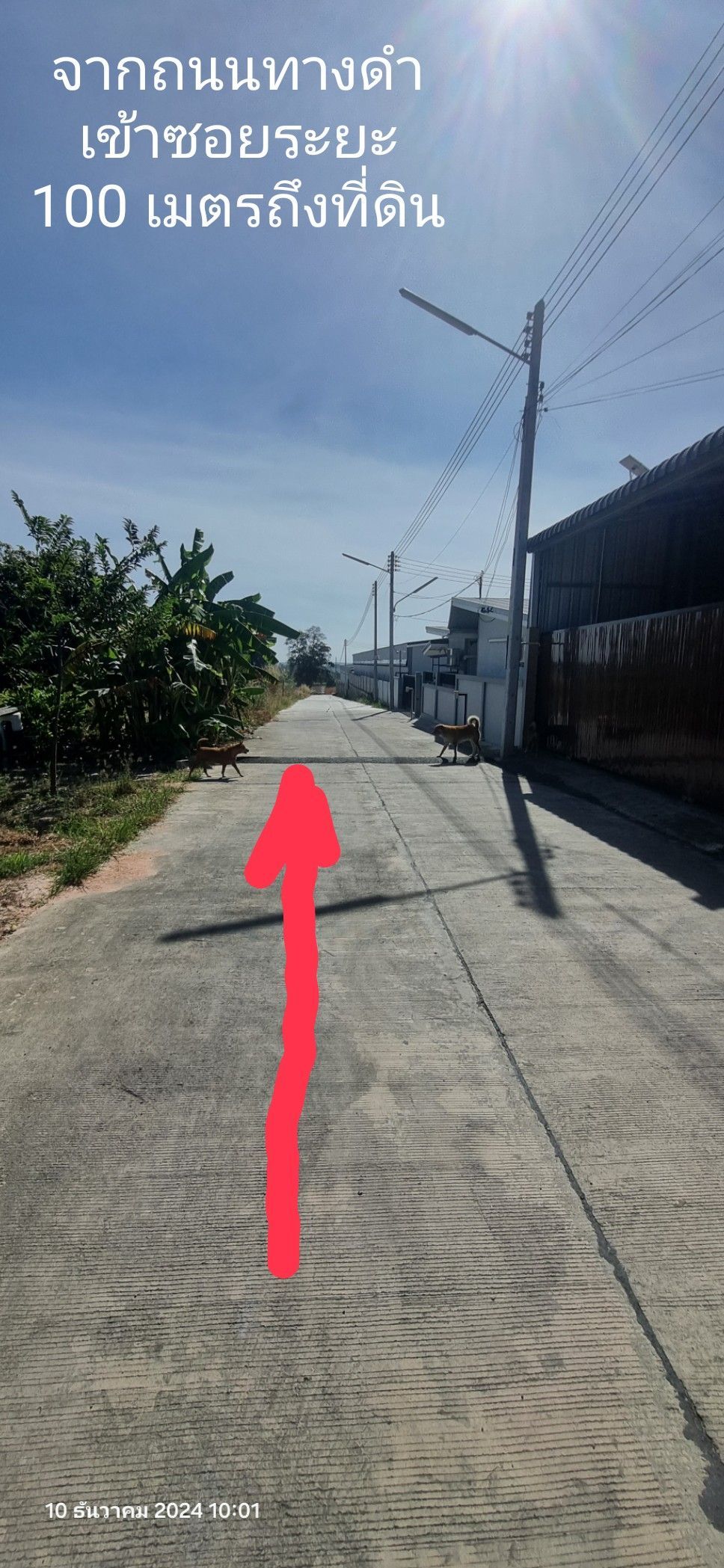 ขายด่วนที่ดินระยอง พื้นที่ม่วงลาย ซอย 13 ต.พนานิคม อำเภอนิคมพัฒนา ใกล้นิคมอุตสาหกรรม
