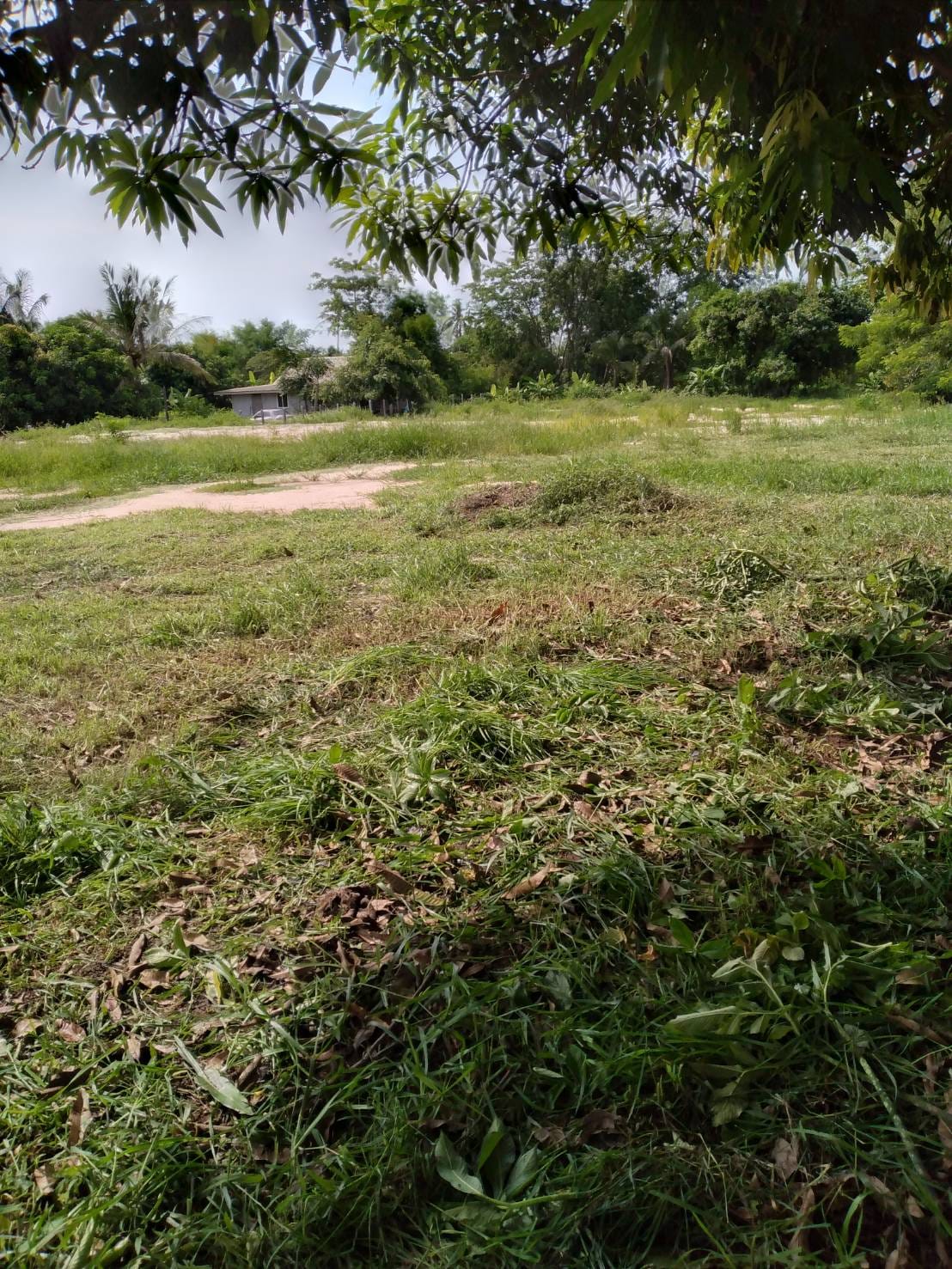 ขายที่ดินหนองคาย เมืองหนองคาย 2-0-72