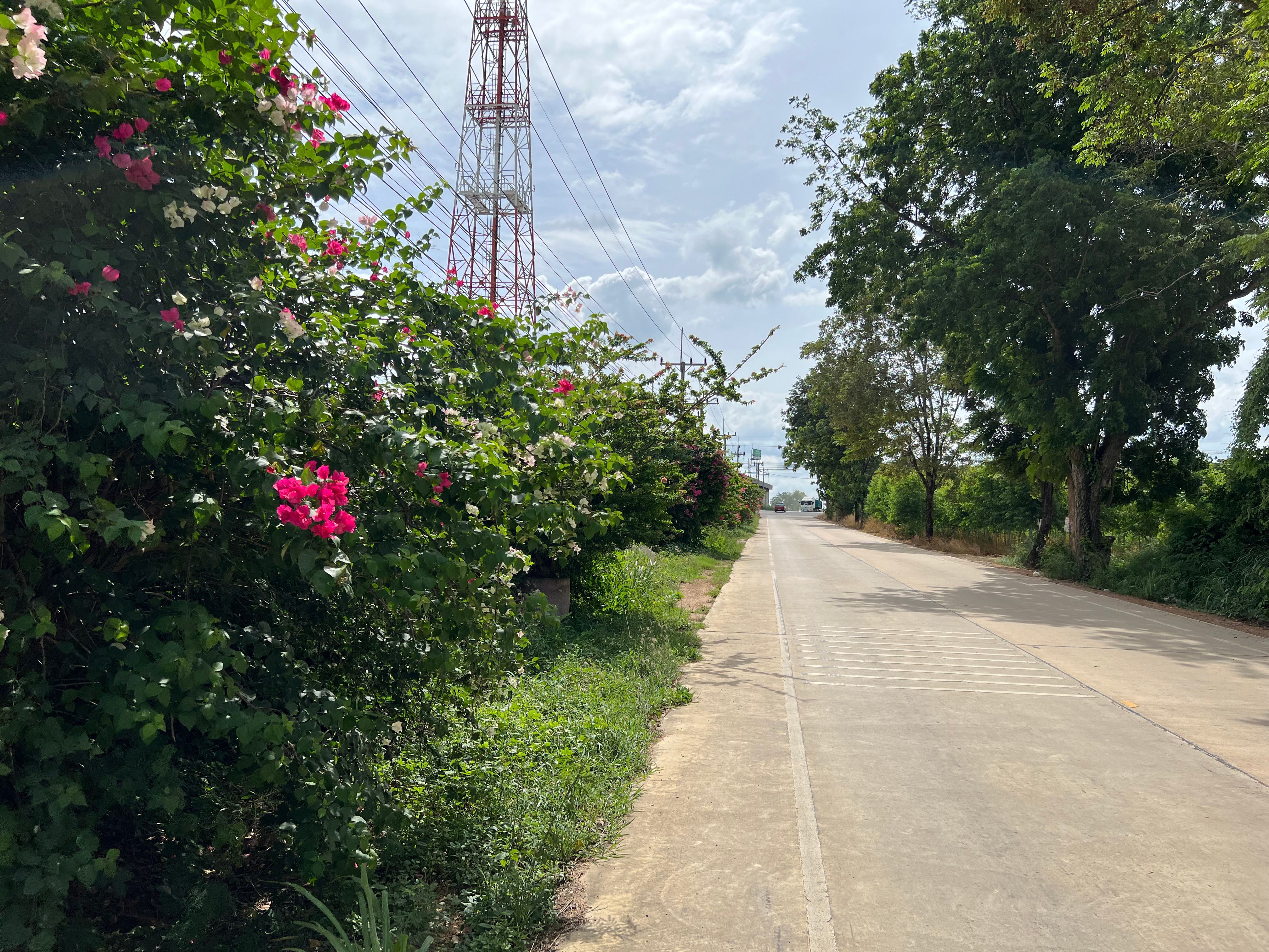 🌟 ขายที่ดิน 40-2-53 ไร่ ติดถนนสาย 331 พนัสนิคม – เหมาะสร้างโรงงาน-โกดัง ใกล้นิคมฯ เกตเวย์
