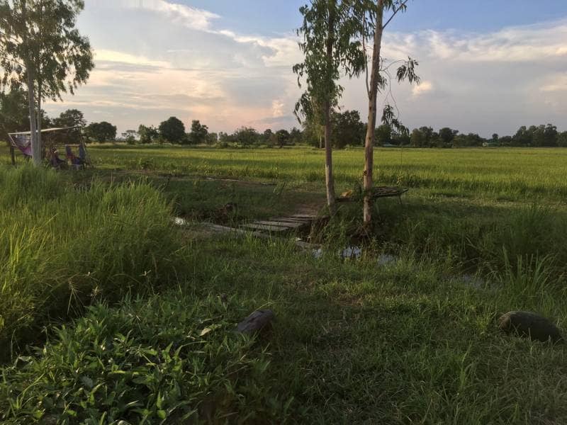 ที่ดินที่นา ยางตลาด กาฬสินธุ์ 4-3-87