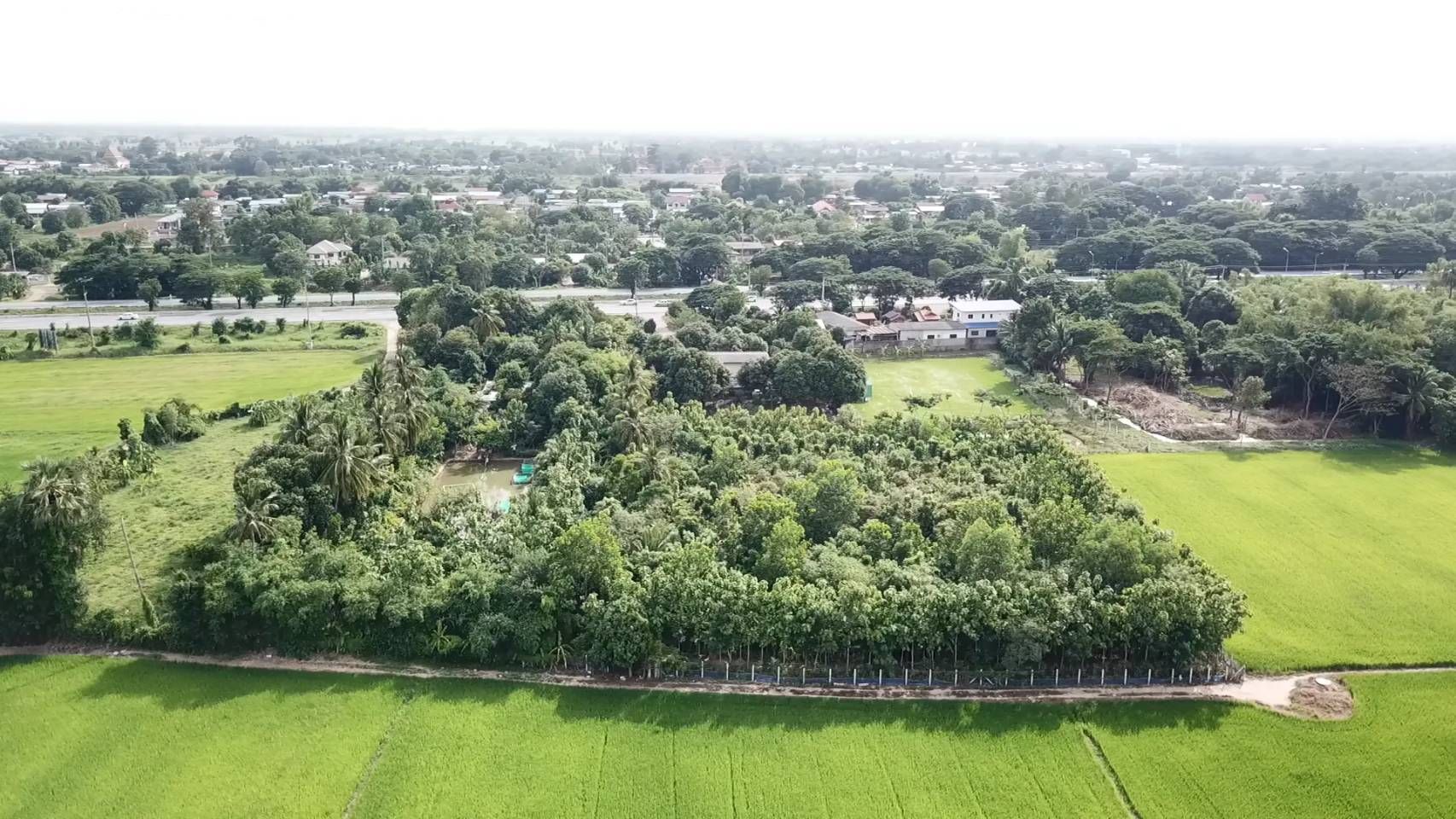 ขายที่ดิน+บ้านสวน+สวนป่าเศรษฐกิจ+สวนผสมผสาน