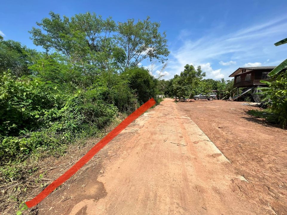 ที่ดินติดถนนคอนกรีต แก้งคร้อ ชัยภูมิ 151 ตรว.