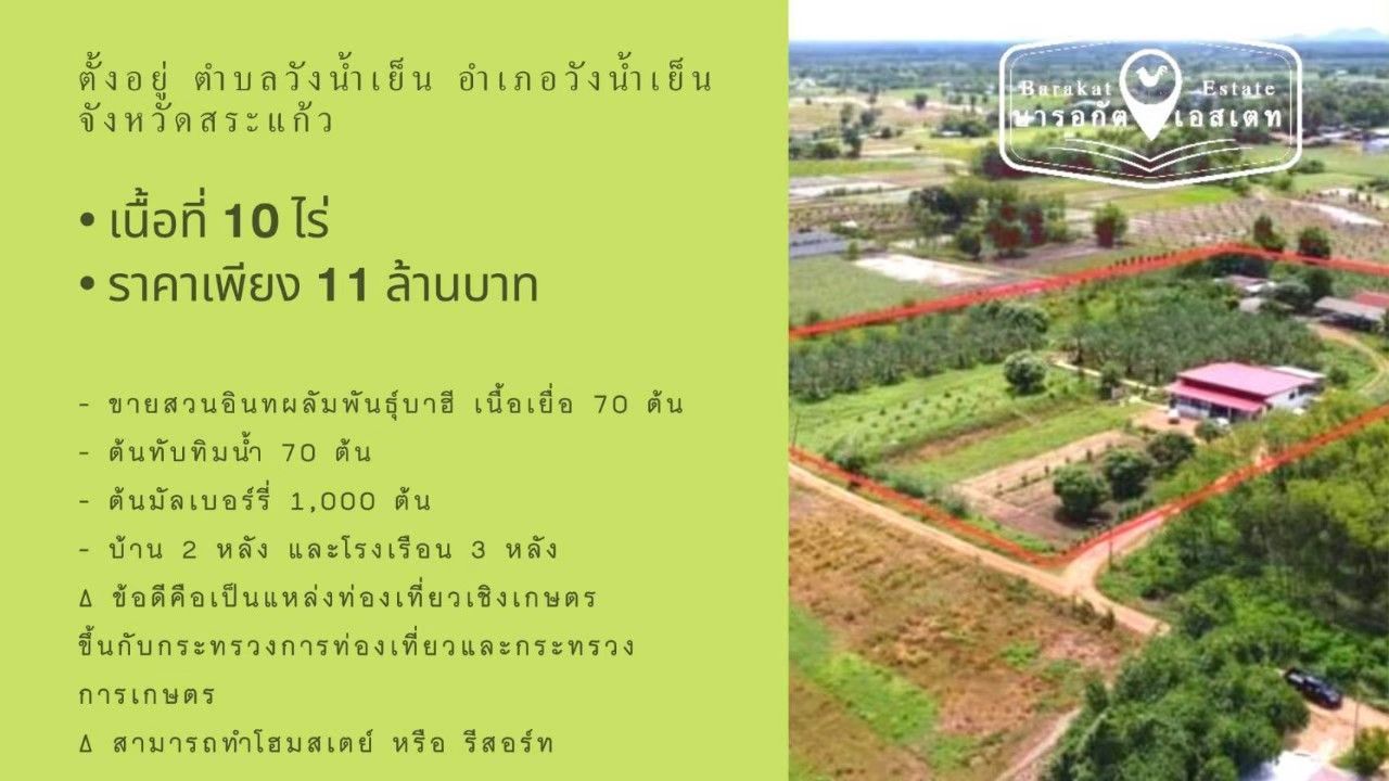 ขายสวนอินทผลัม​  พร้อมผลไม้อีกหลายชนิด  เนื้อที่กว่า 10 ไร่ จังหวัดสระแก้ว