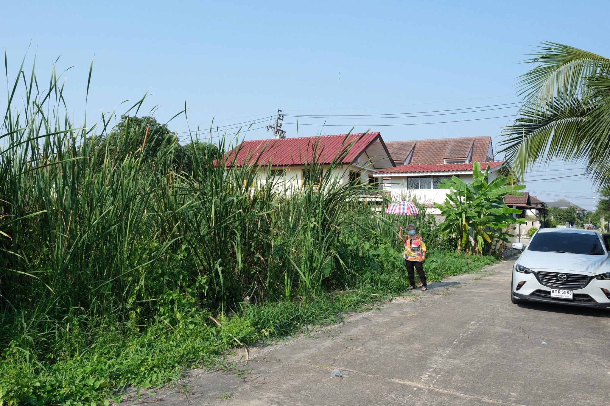ขายที่ดิน 100 ตรว. พุทธมณฑลสาย 4 เข้าออกได้ทั้งซอยบรม 74 กับ 76