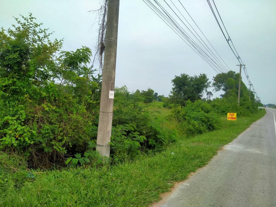 ขายที่ดิน มหาสารคาม 4 ไร่
