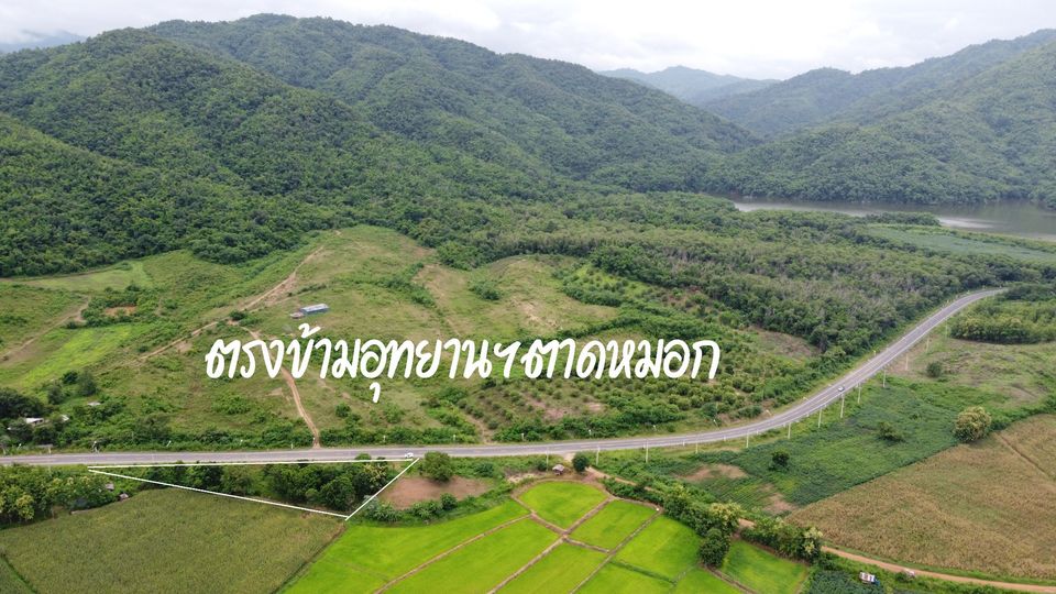 ขายที่ดินเพชรบูรณ์ เมืองเพชรบูรณ์ 0-1-71
