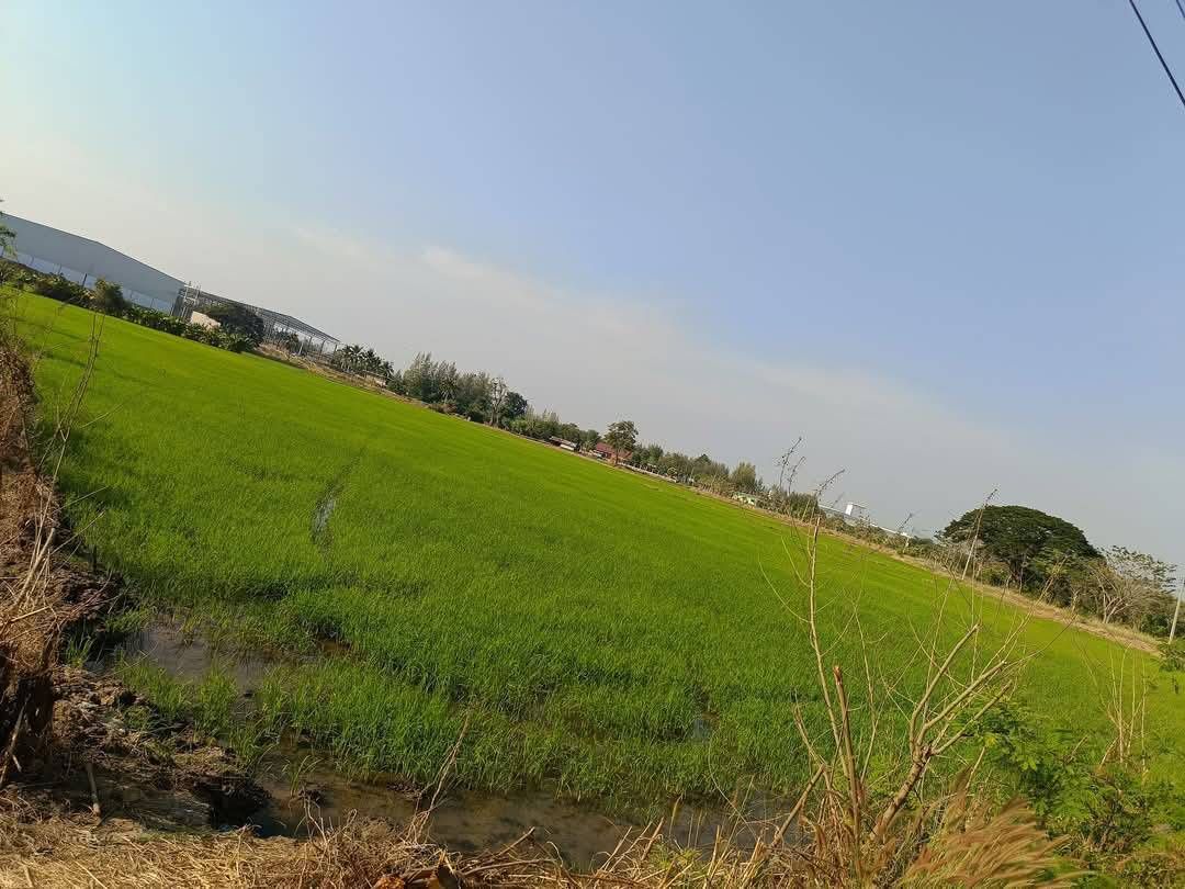 ขายที่ดิน 19 ไร่