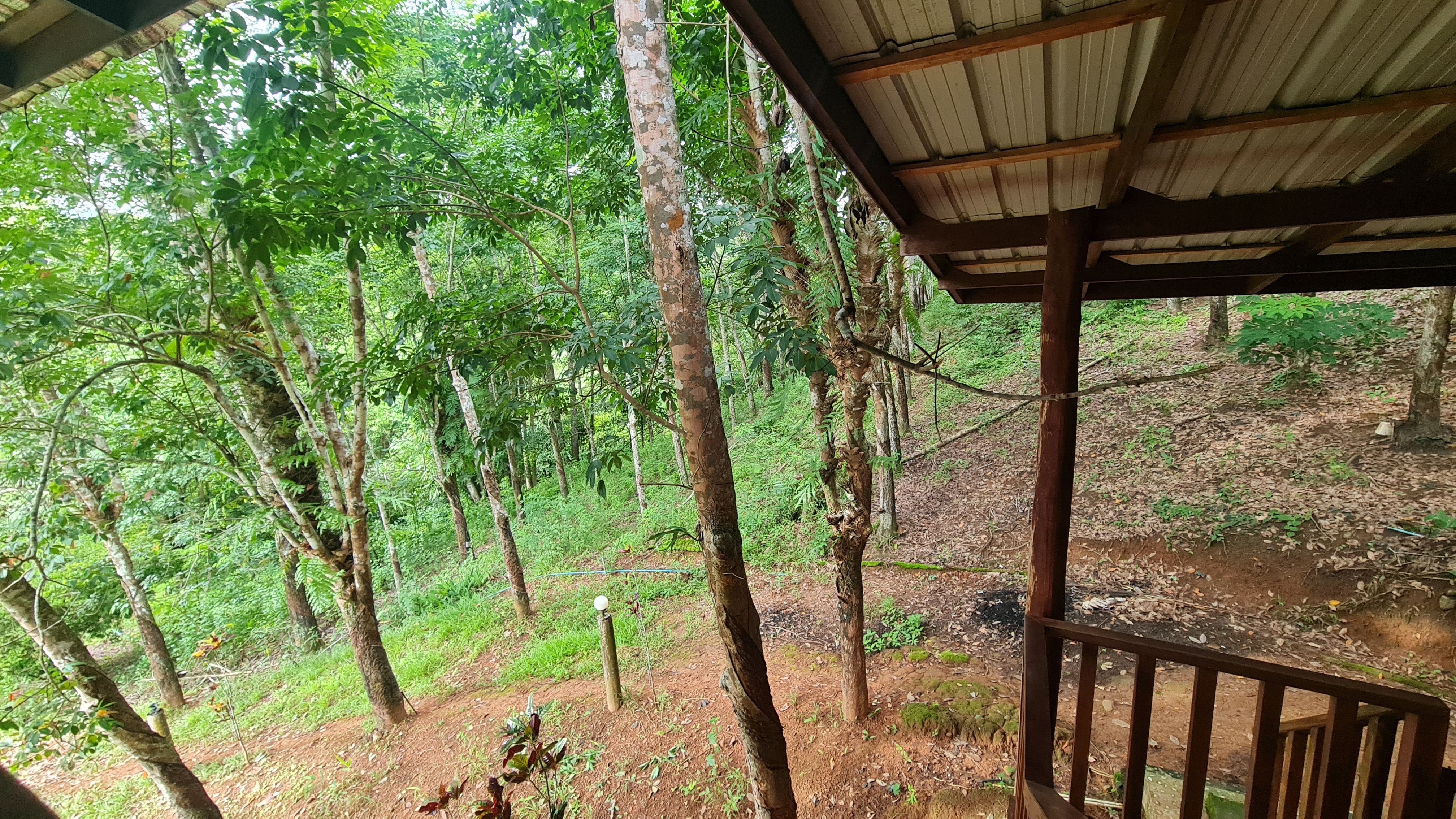 ขายที่ดิน ติดริมถนนใหญ่ สาย3272 อ.ทองผาภูมิ 