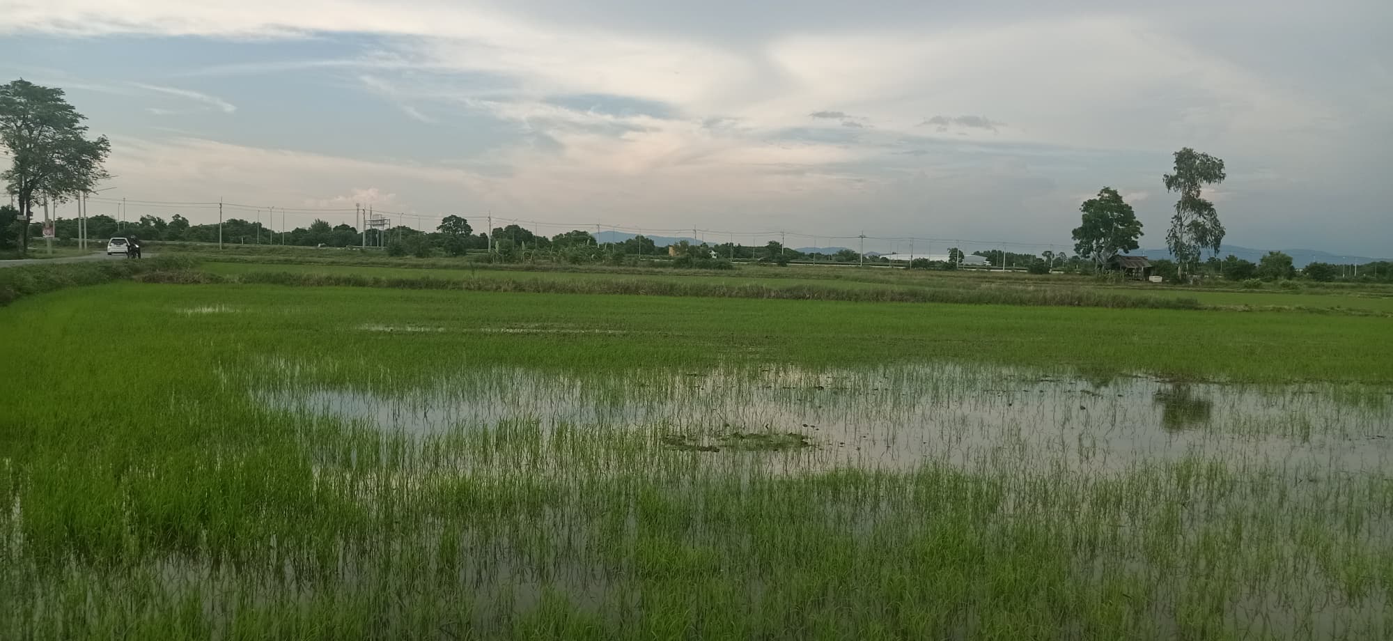 ขายที่ดินชลบุรี ศรีราชา