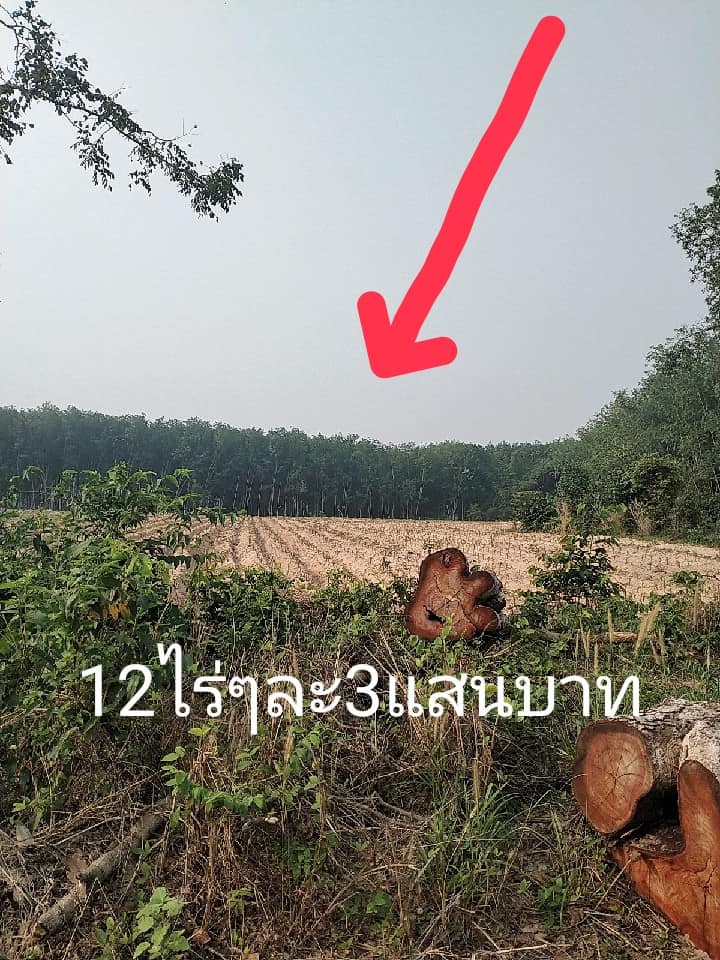 ที่ดินเปล่า ไม่ไกลเมือง อุบลราชธานี 12-0-53 ไร่