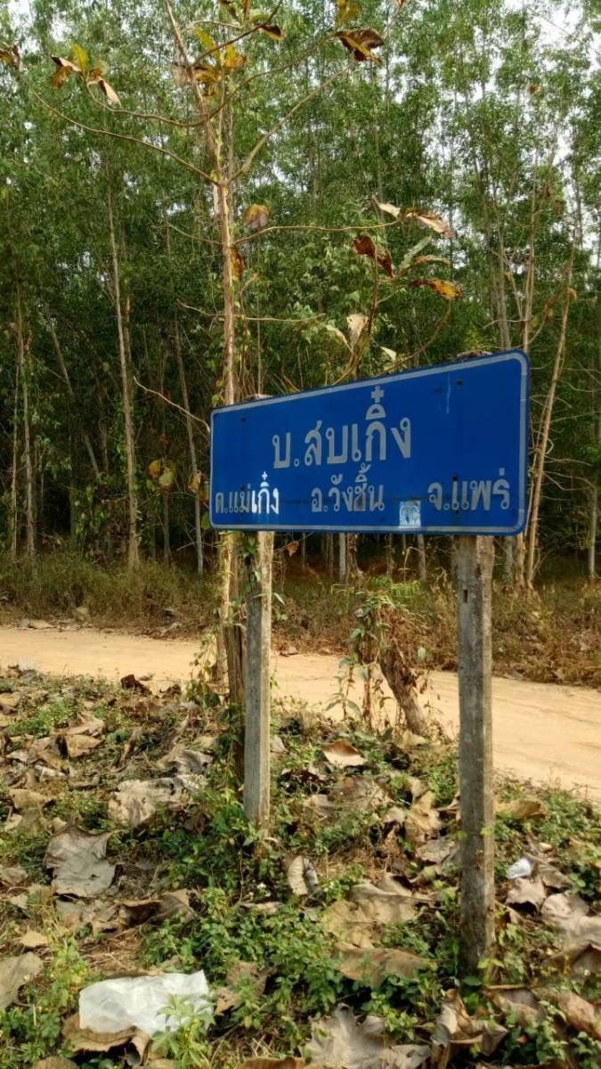 ที่ดินจังหวัดแพร่ ปลูกไม้สัก