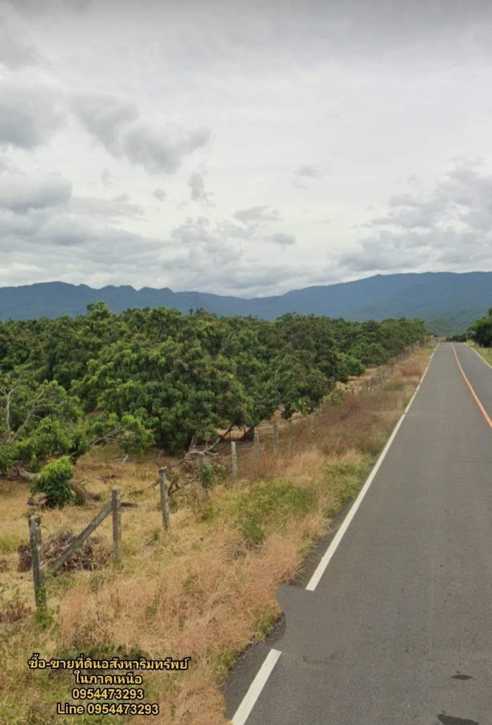 ขายที่ดินเชียงใหม่ อำเภอจอมทอง ที่ดินสวน น่าลงทุน