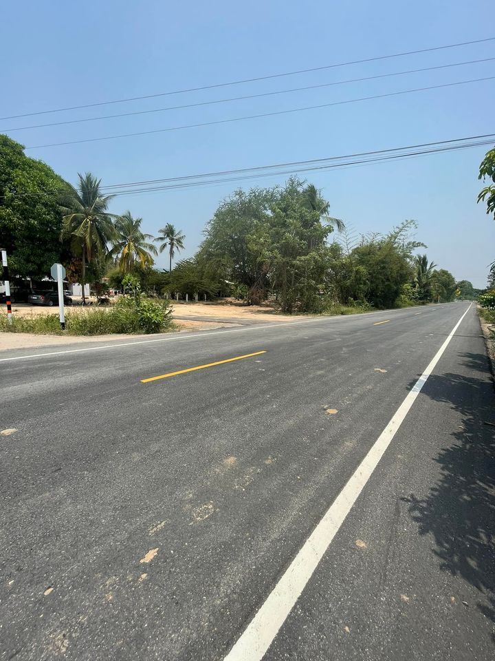 ที่ดินแปลงสวยมาก วังทอง พิษณุโลก 205 ตรว.