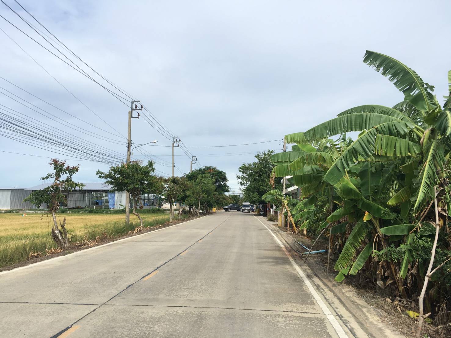ที่ดินเปล่า นนทบุรี 11-1-24