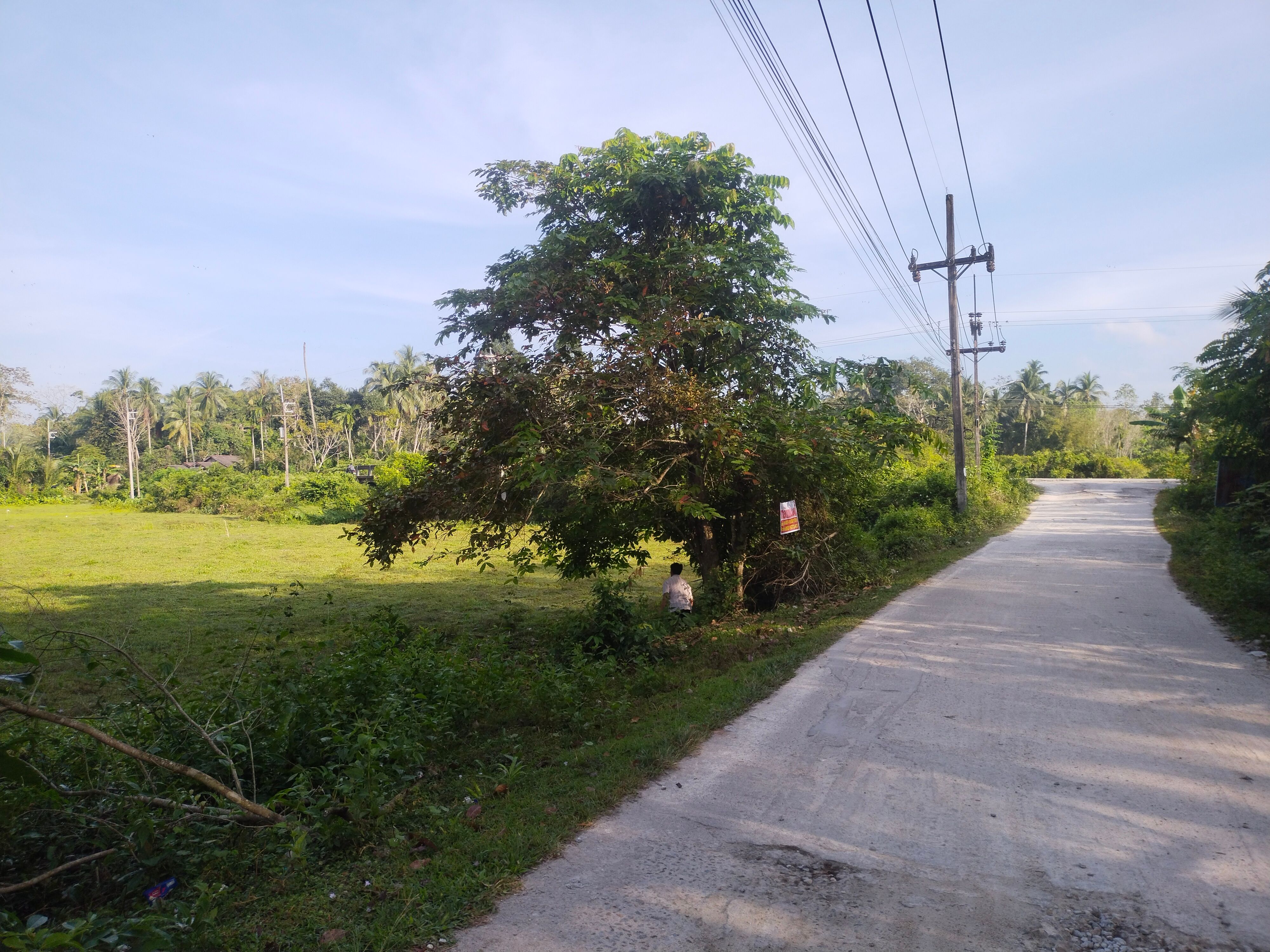 ขายที่ดิน ยะลา 1-2-67 ไร่