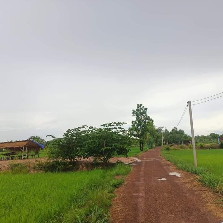 ขายที่ดิน อำเภอเพ็ญจังหวัด อุดรธานี 5-3-70 ไร่