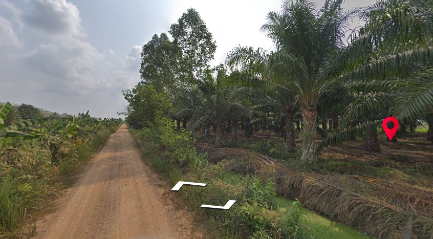 ขายที่ดินปทุมฯ หนองเสือ 3-0-0