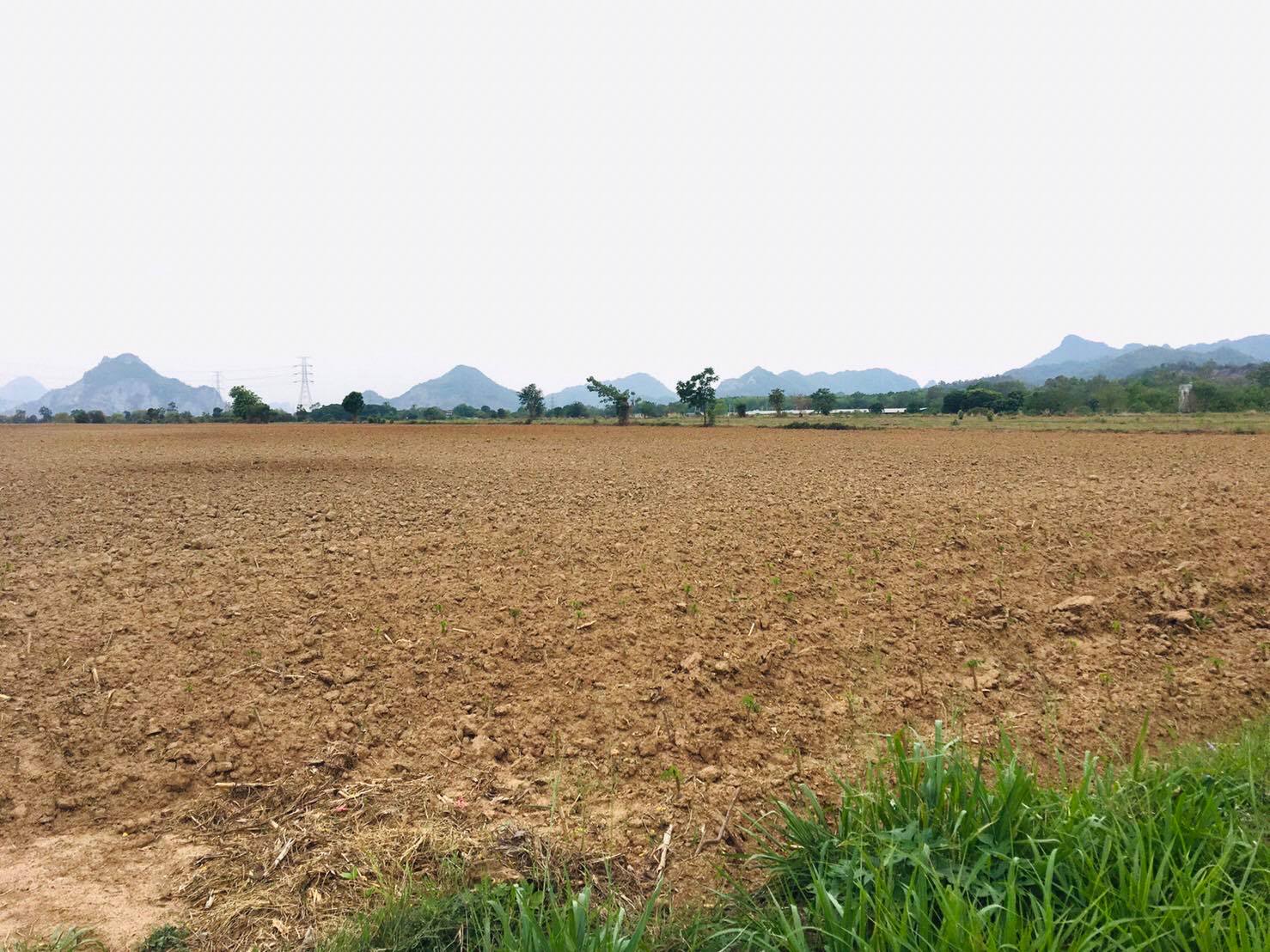 ที่ดินเปล่า ติดถนนสาธารณะ อ.เฉลิมพระเกียรติ จ.สระบุรี 23-3-7 ไร่