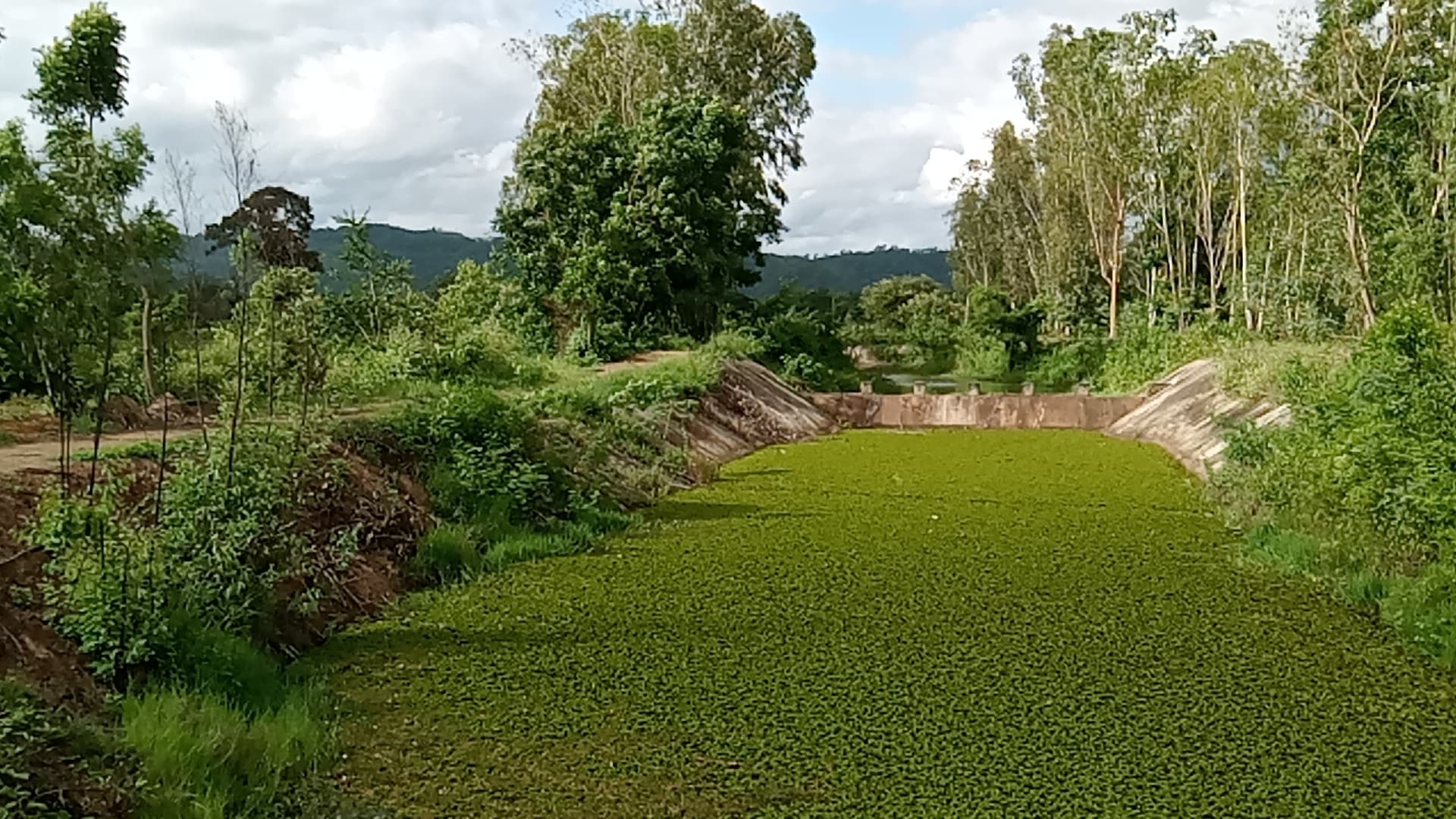 ขายที่ดินสระบุรี วิหารแดง 49-0-68