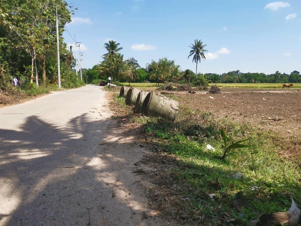 ขายที่ดิน 25-1-70 ไร่ ย่านชุมชนวัดเจ็นตก พัทลุง