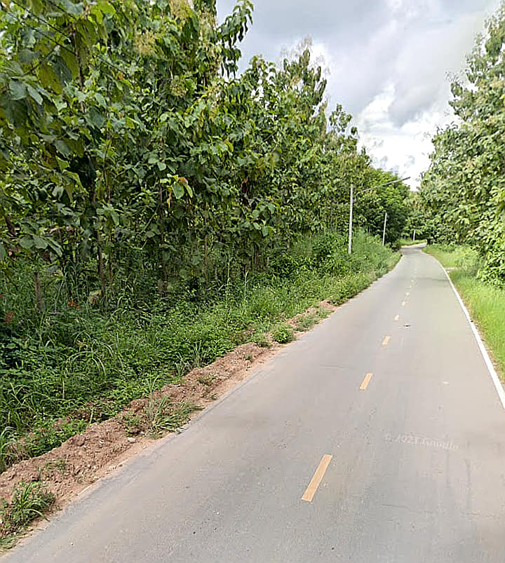 ที่ดินพร้อมต้นสัก น่าน 4-2-39