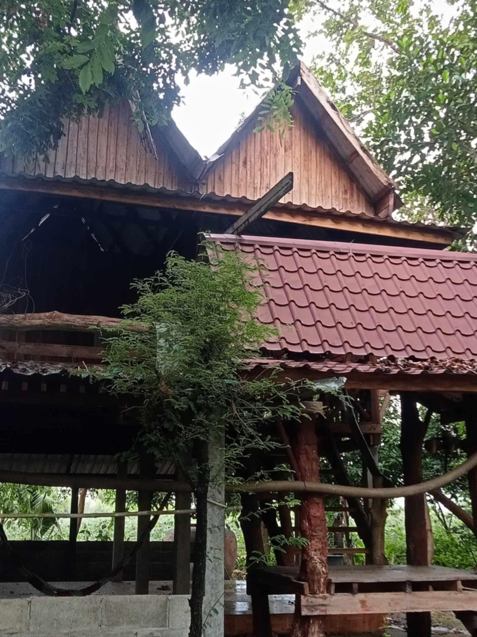 ขายที่ดิน ที่ไร่ ที่นา สวนผสม พร้อมบ้าน