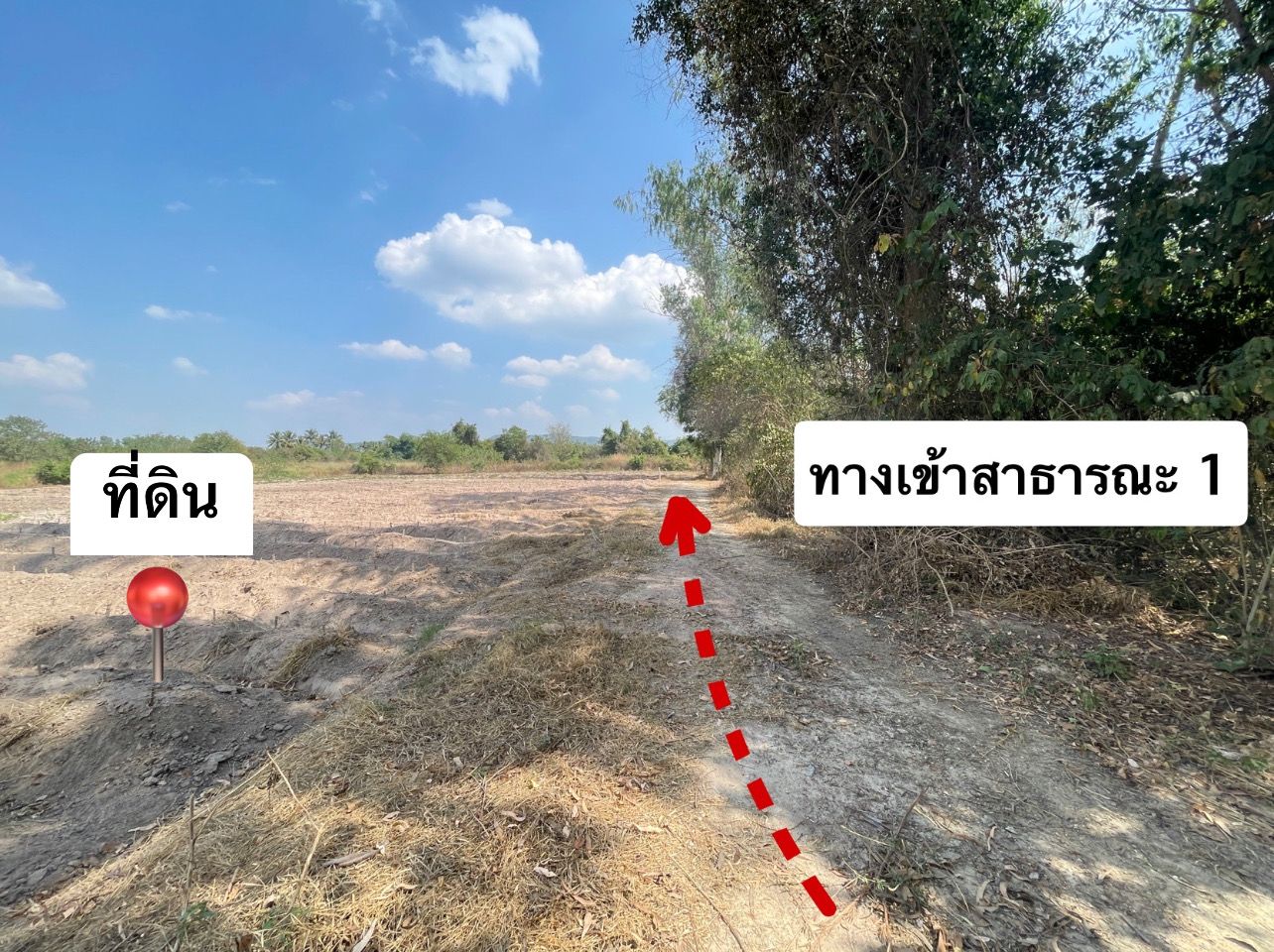 📢 ขายที่ดินโฉนด‼️ 4 ไร่ 2 งาน 79 ตร.ว. อ.สวนผึ้ง จ.ราชบุรี ไร่ละ 550,000 บาท 🔥 มีไฟฟ้า น้ำประปา แหล่งชุมชน เดินทางสะดวก