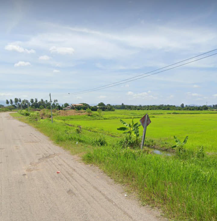 ที่ดินแปลงนา เพชรบูรณ์ 2-2-91.9