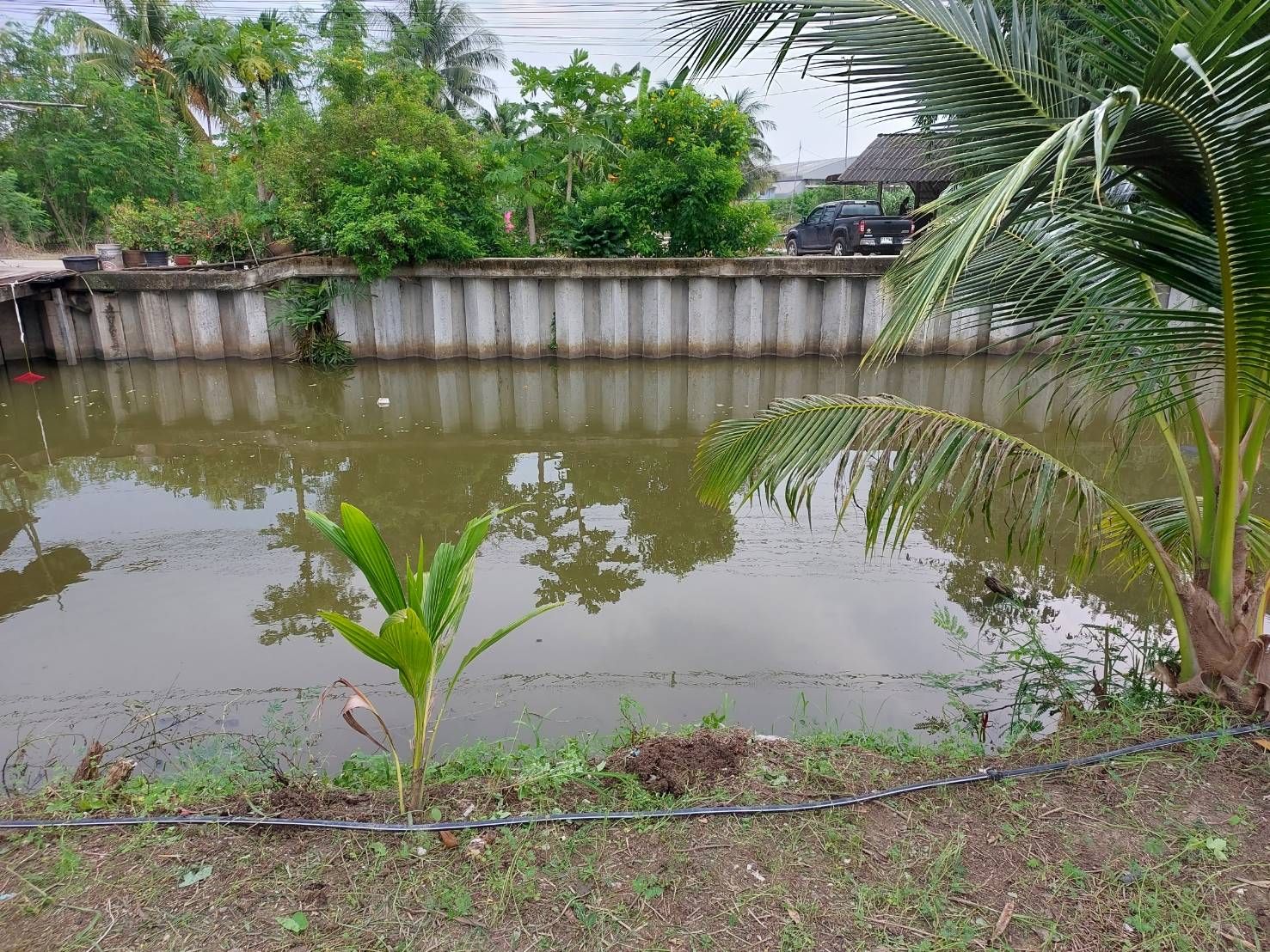 ขายที่ดินเปล่า 192 ตรว. สวนส้ม สมุทรสาคร