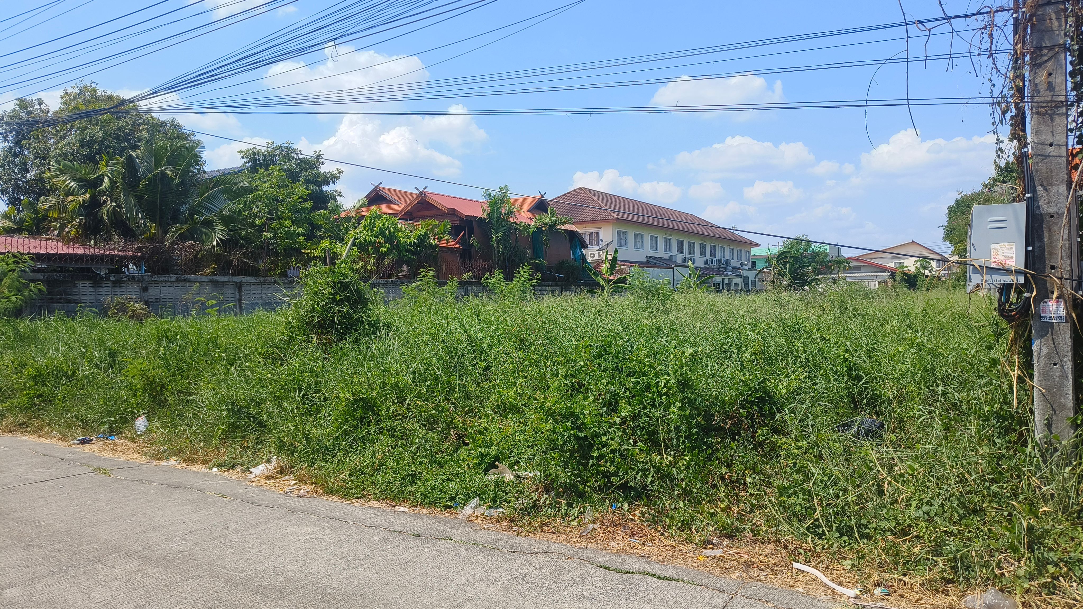 ขายถูกที่ดินแปลงเล็ก พื้นที่บางเขน