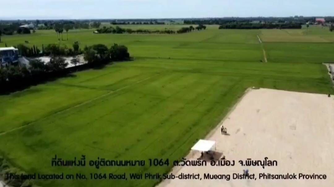 ขายที่ดินพิษณุโลก ที่ดินทำเลงาม เหมาะกับการประกอบกิจการสุดๆ เมืองพิษณุโลก 10-1-62.5