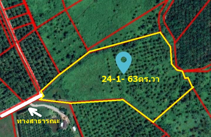 ขายที่ดิน สุราษฎร์ธานี 24-1-63 ไร่