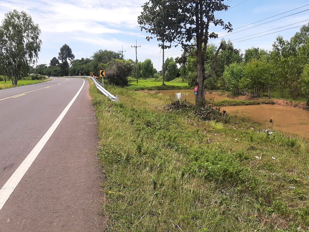 ขายที่ดินสุรินทร์ รัตนบุรี 5-1-59