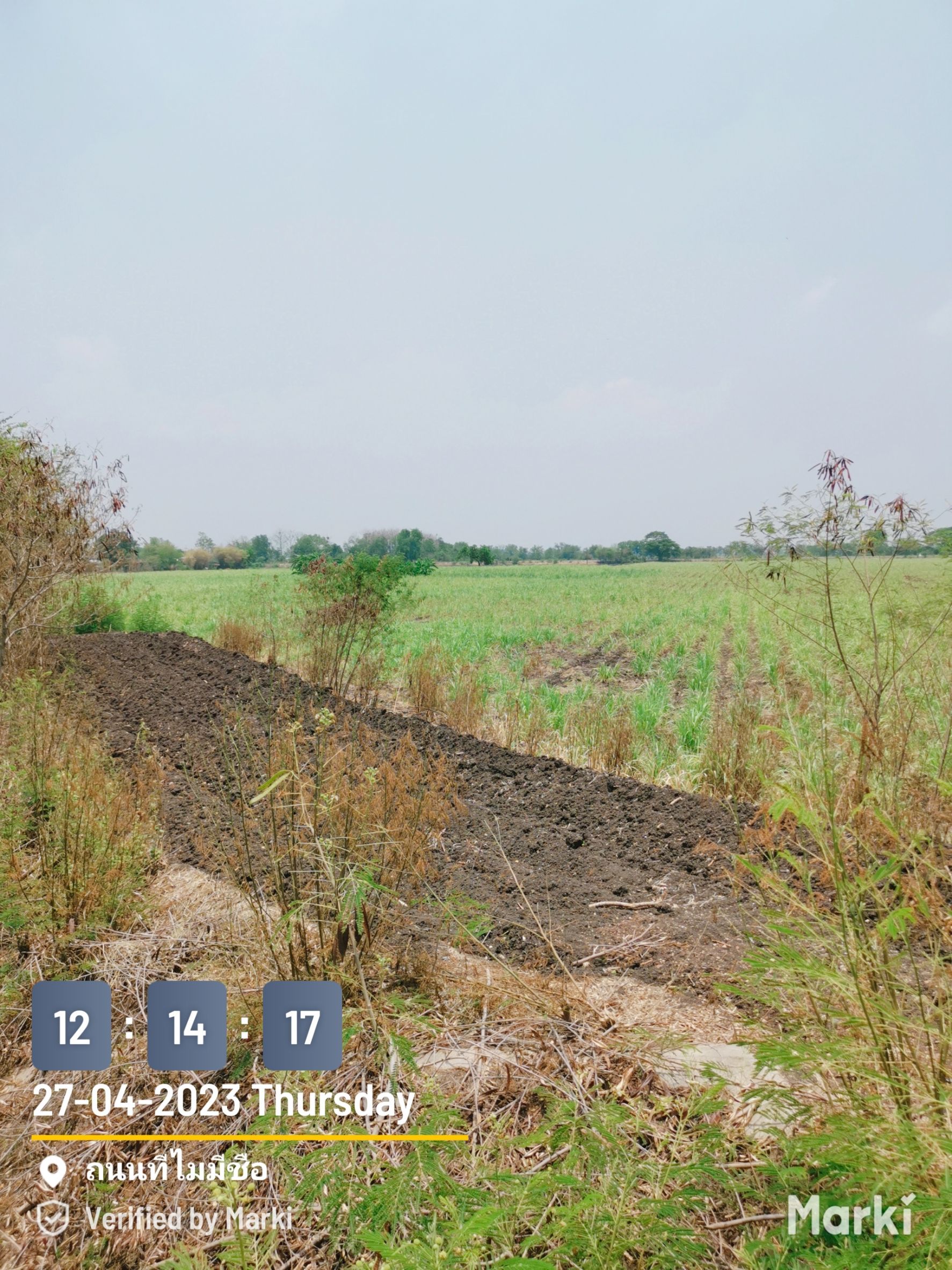 ขายที่ดินแปลงใหญ่เพื่อเกษตรกรรม อ.โคกสำโรง จ.ลพบุรี 280ไร่