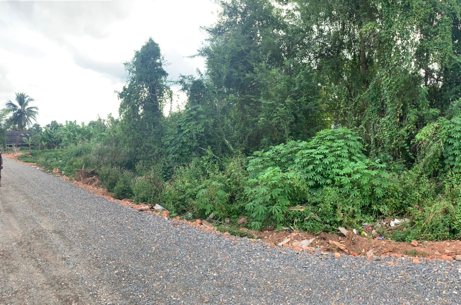 ที่สวย