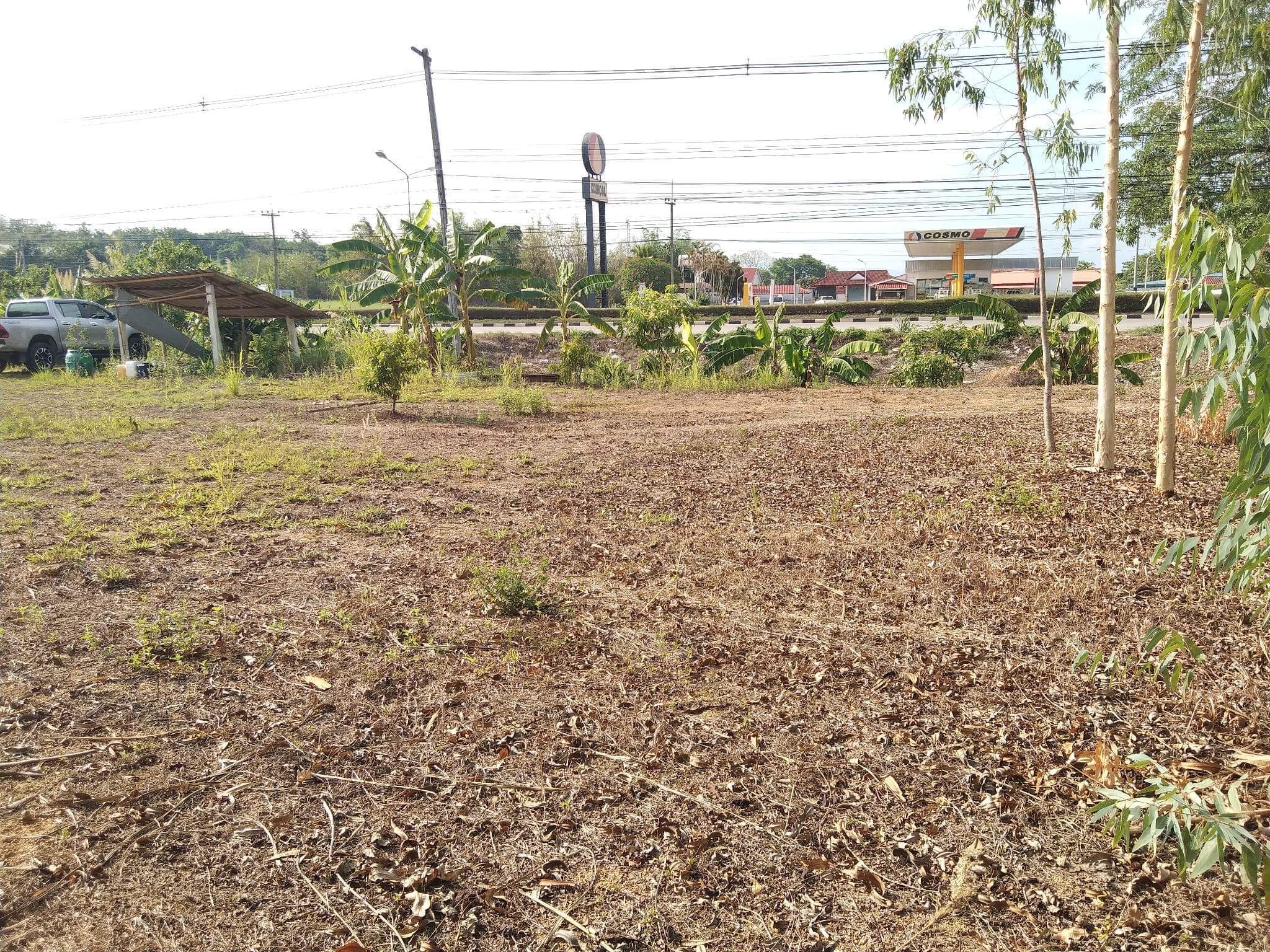 ที่ดินติดถนน