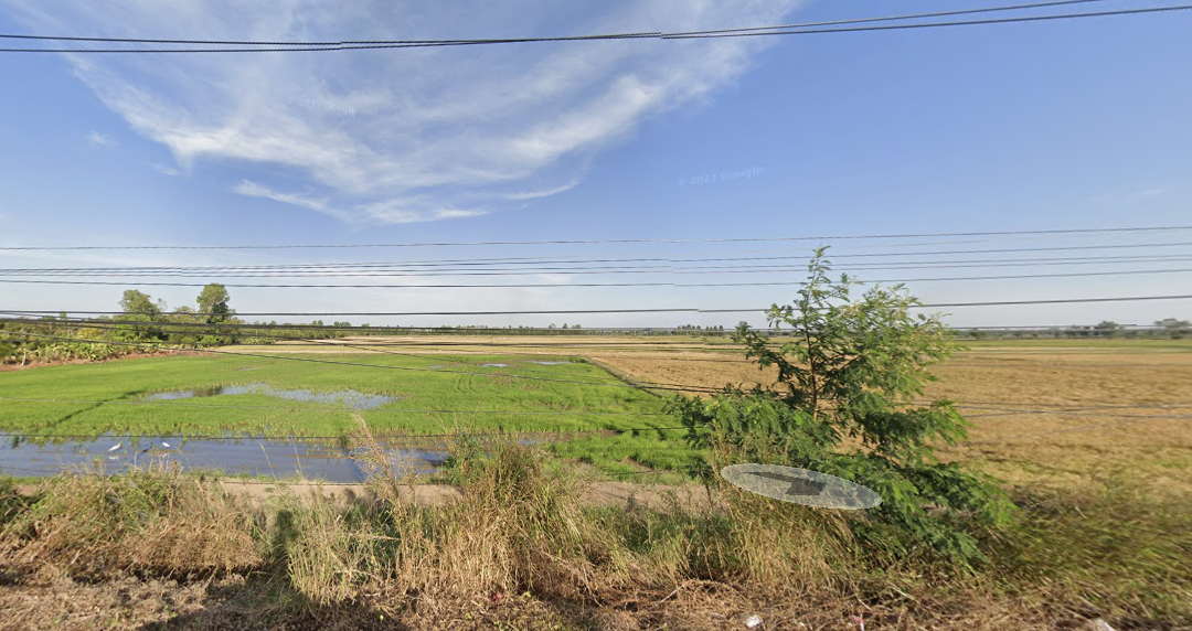 ขายที่ดินเปล่าปราจีนบุรี จ.ปราจีนบุรี อ.ศรีมโหสถ 12-2-66 ไร่